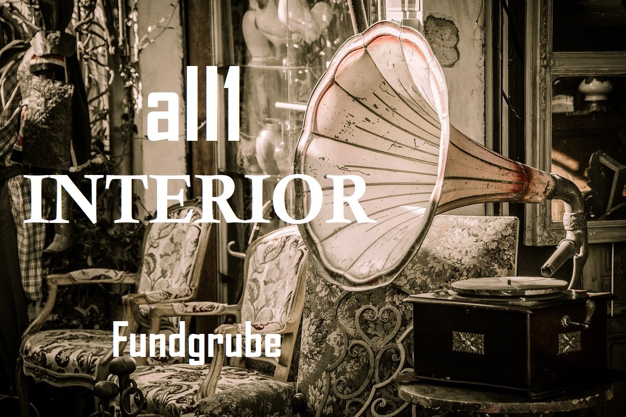 all1_INTERIOR_Fundgrube_Shop